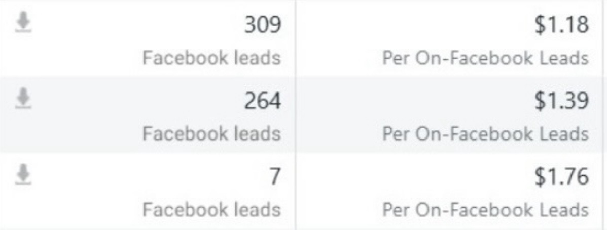 Meta Ads results: 580 leads at under $2 each